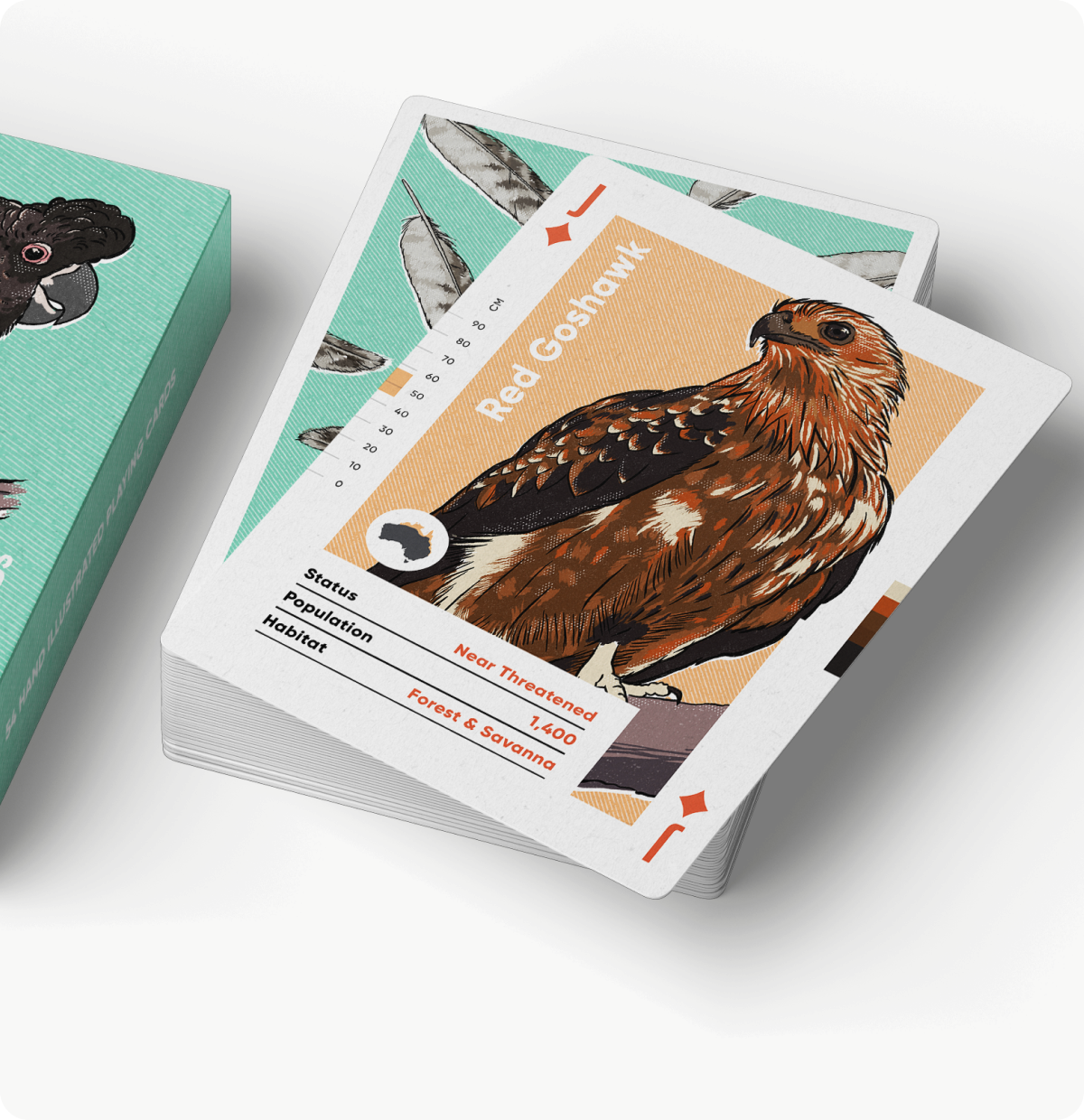 Birds of Australia - Playing Cards