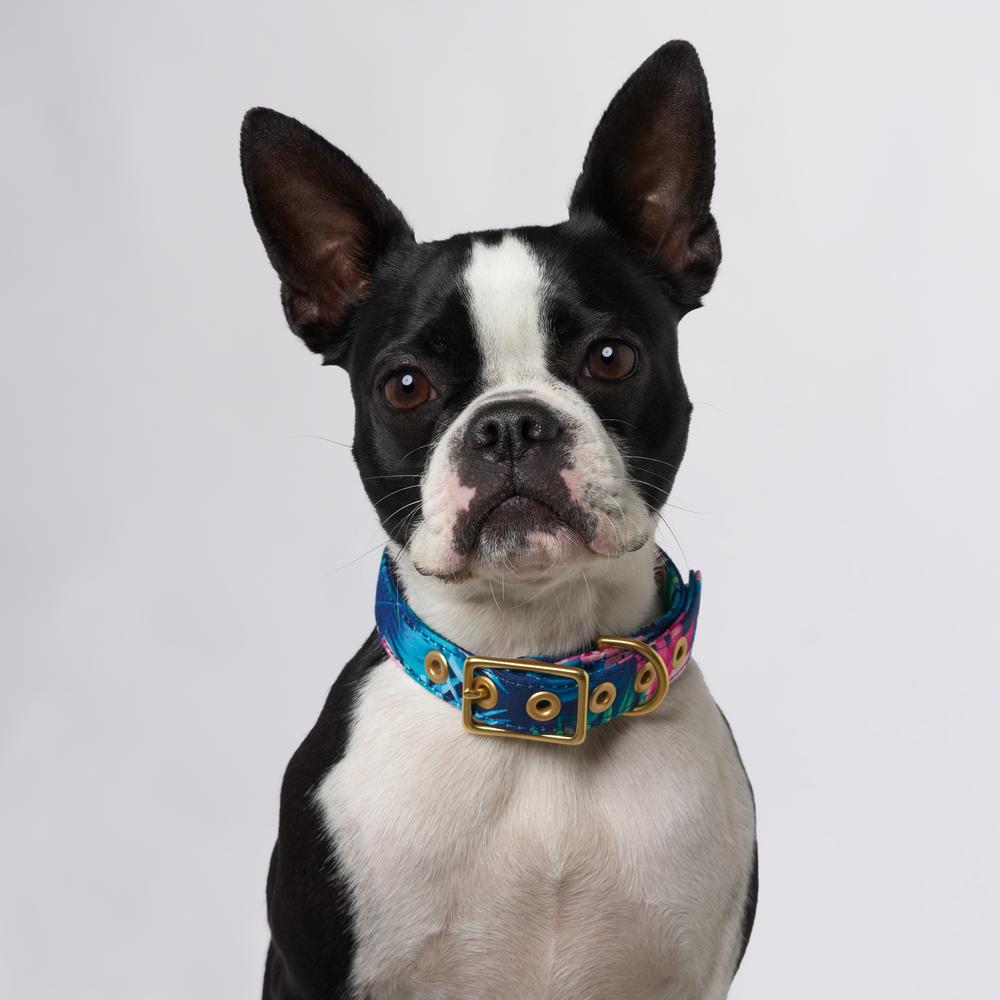Brass Cafe Collar - Tropical Flower
