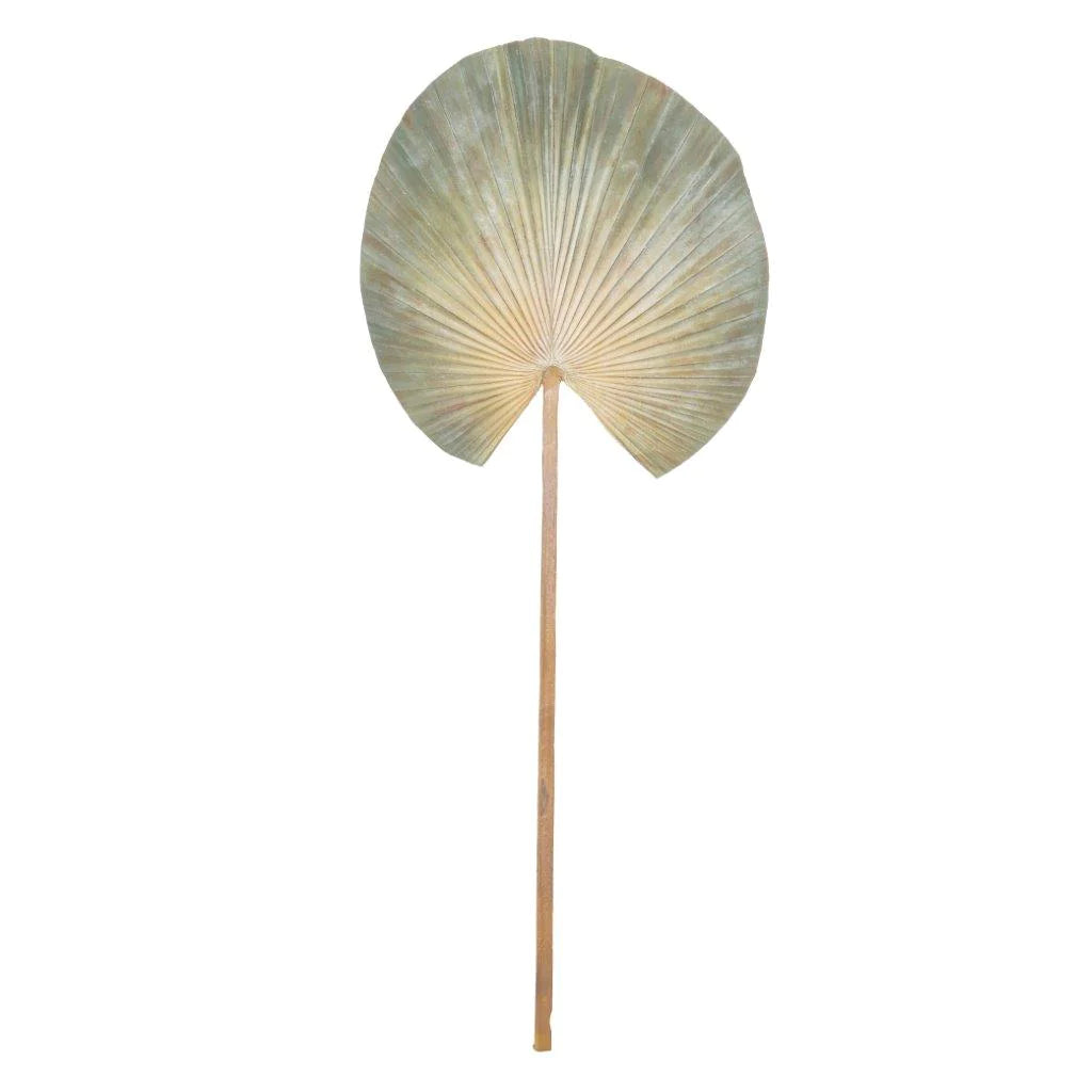 Deco Fan Palm