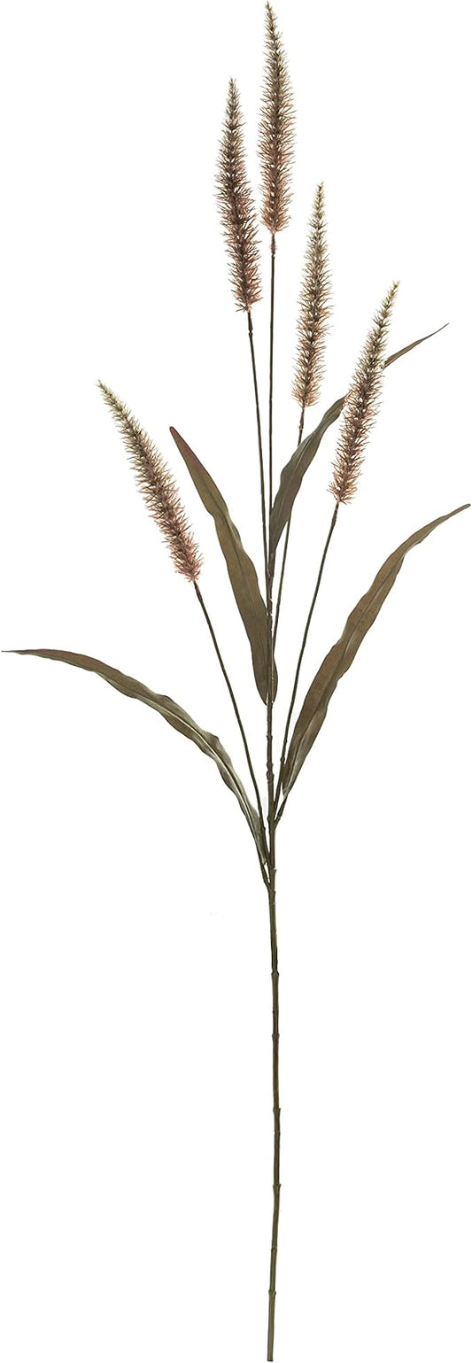 Fountain Grass Stem