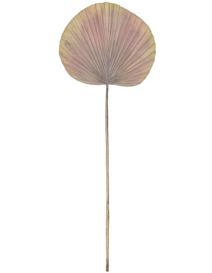 Deco Fan Palm