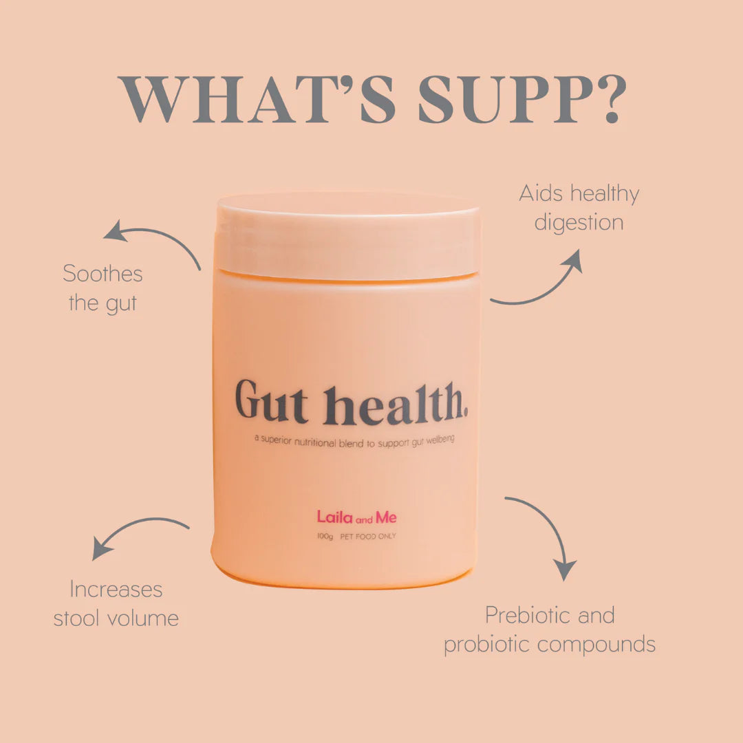 Gut Health Dog Supplement