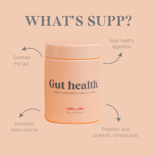 Gut Health Dog Supplement