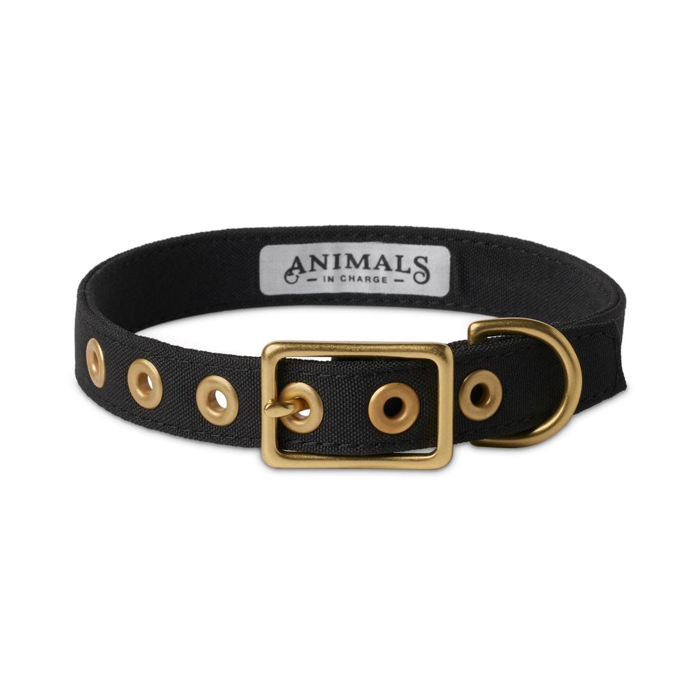 Brass All Weather Collar - Black