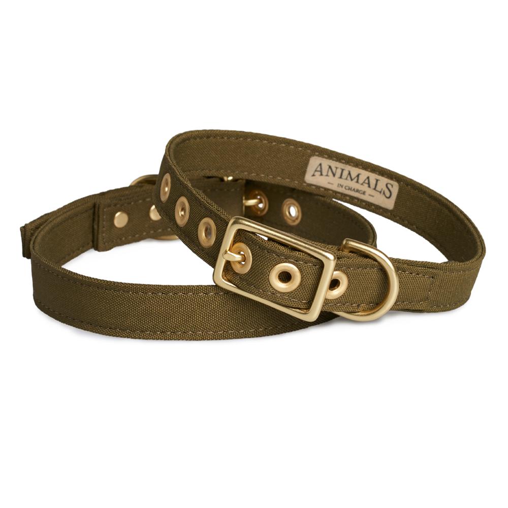 Brass All Weather Collar - Olive