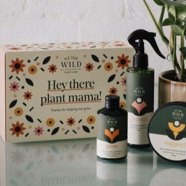 Hey there plant Mama! Plant Care Kit