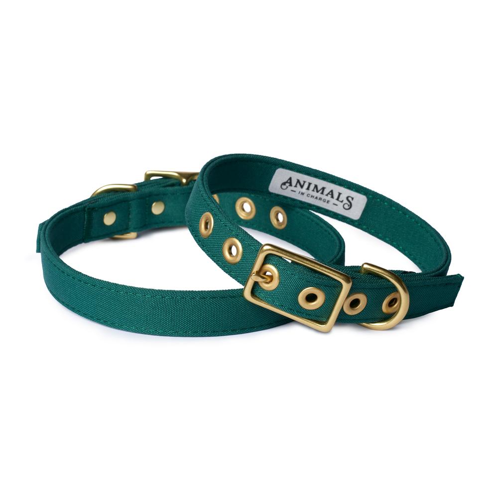 Brass All Weather Collar - Green