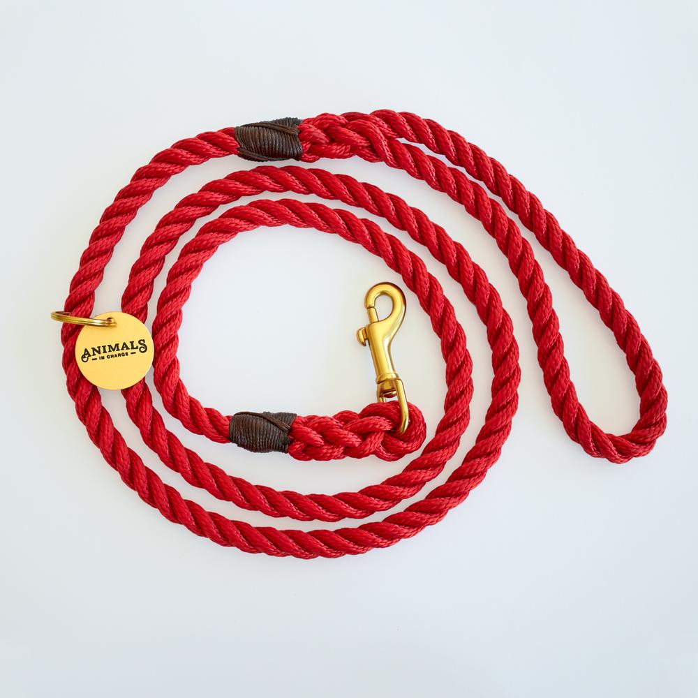 Brass Rope Dog Leash