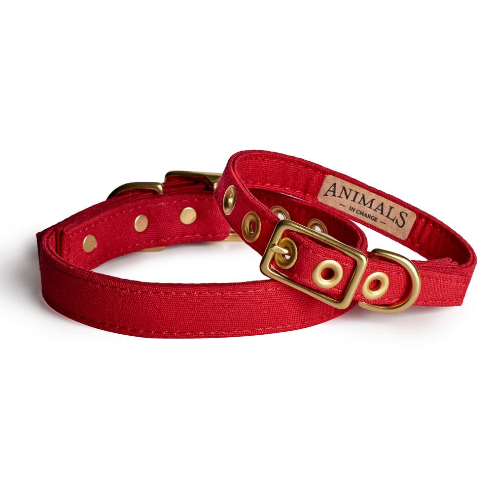 Brass All Weather Collar - Red